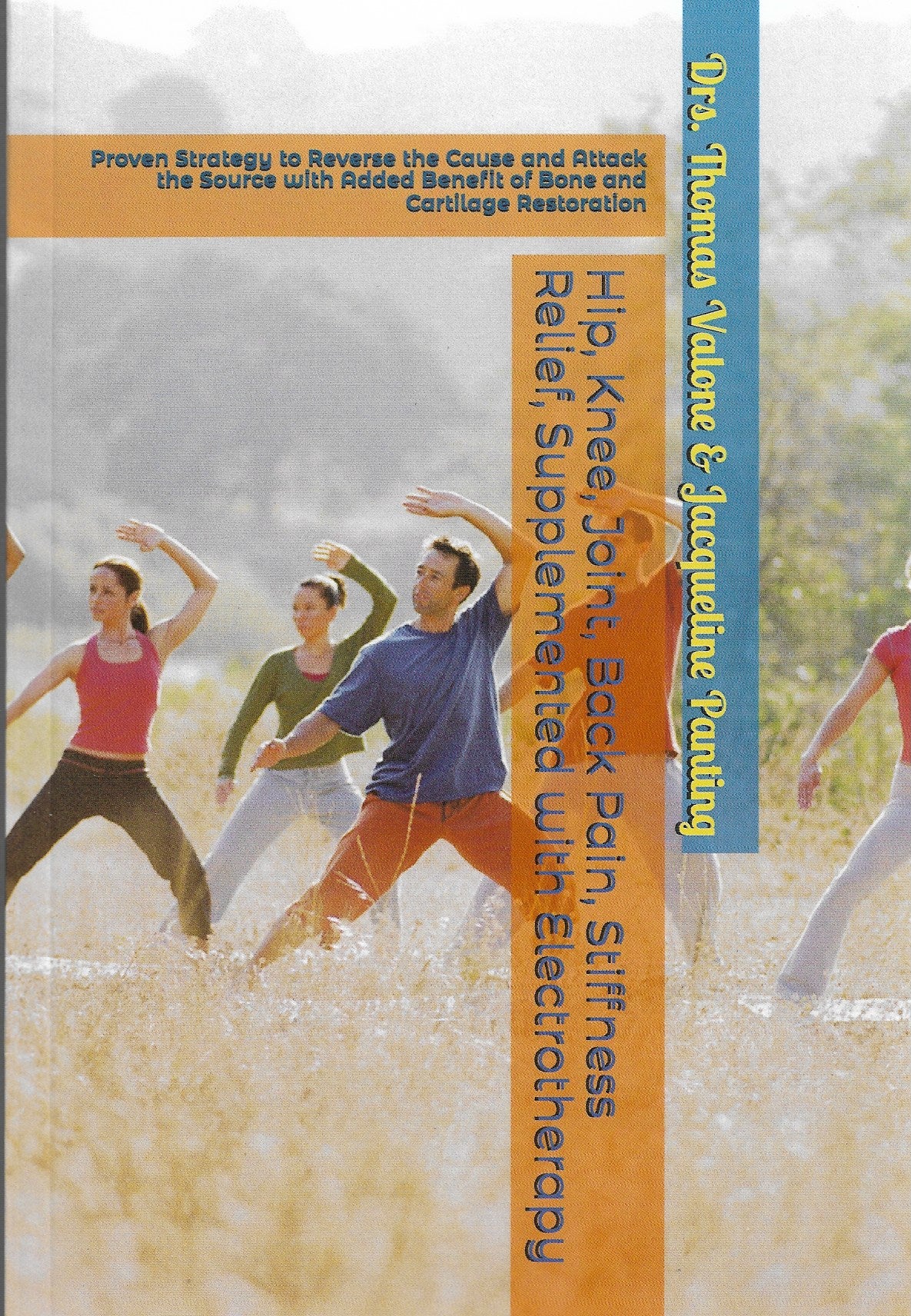 Hip, Knee, Back, Joint Pain Relief with Electrotherapy – Integrity ...